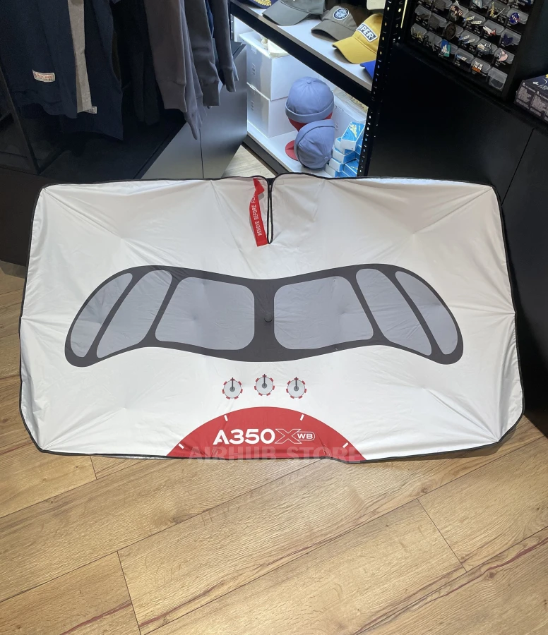 Windshield umbrella