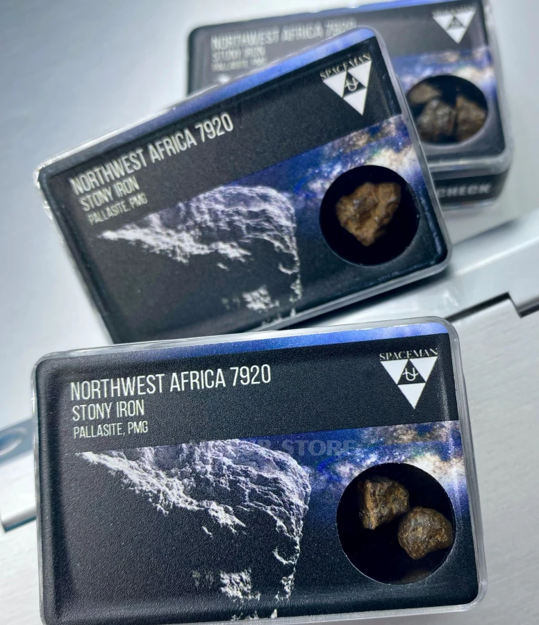 Northwest Africa 7920 meteorite