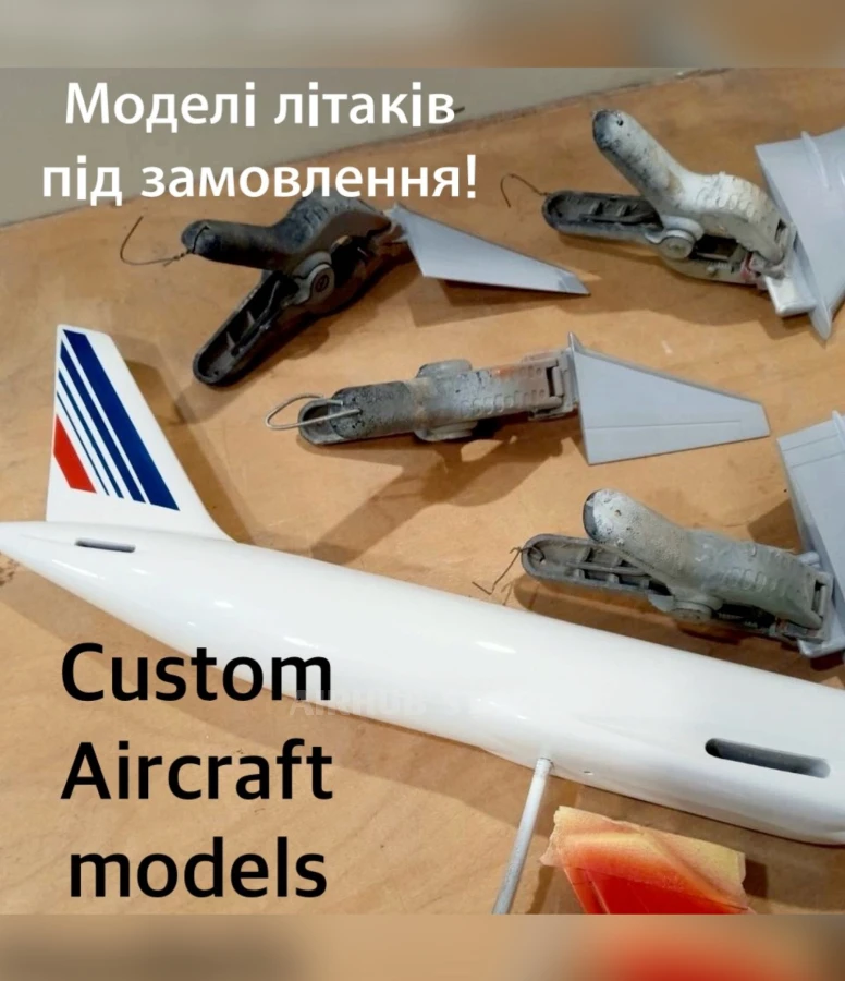 Aircraft model to Custom Order 1:100