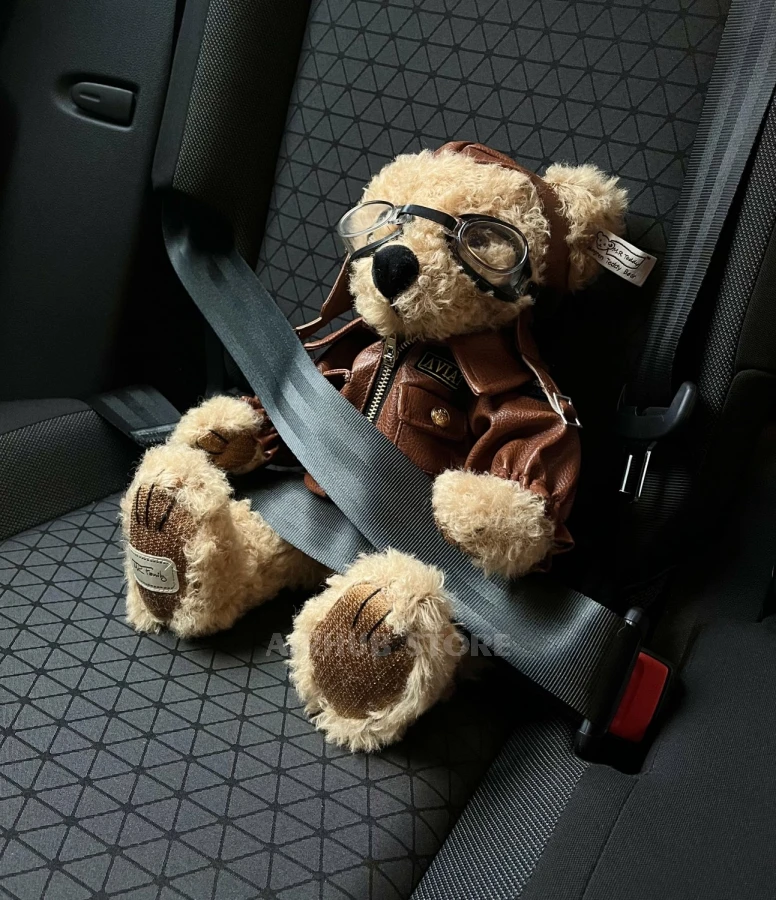 Bear-aviator fluffy Toy