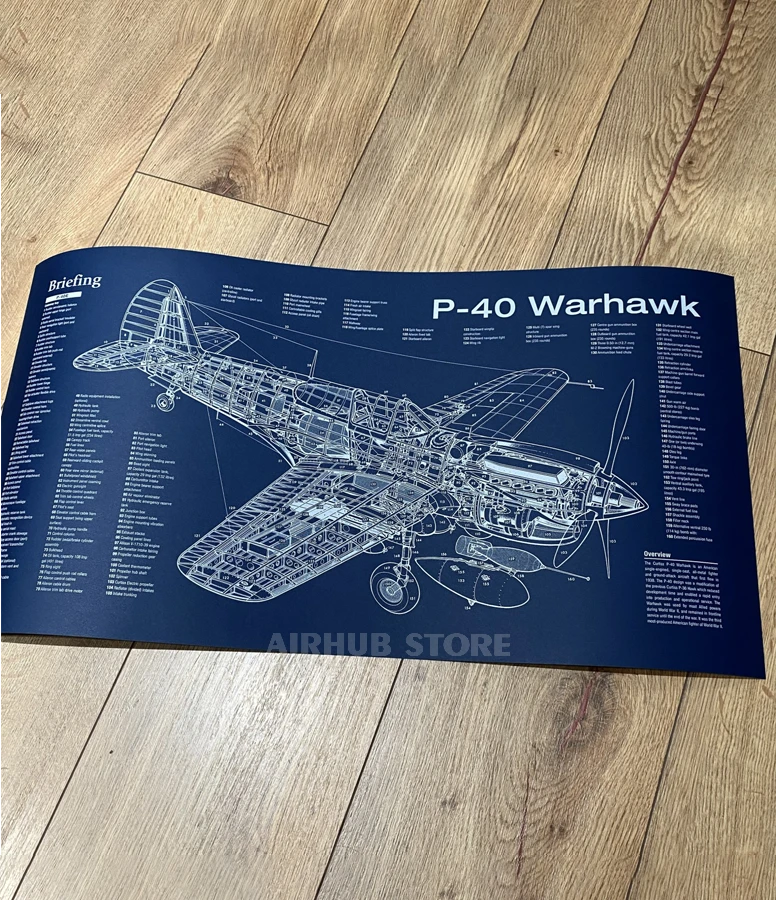 Fighter jet P-40 Warhawk Poster Blueprint