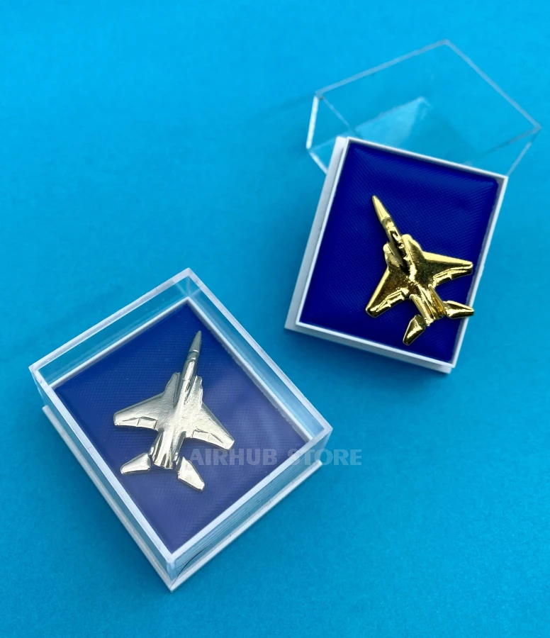 F-15 Eagle Pin in box