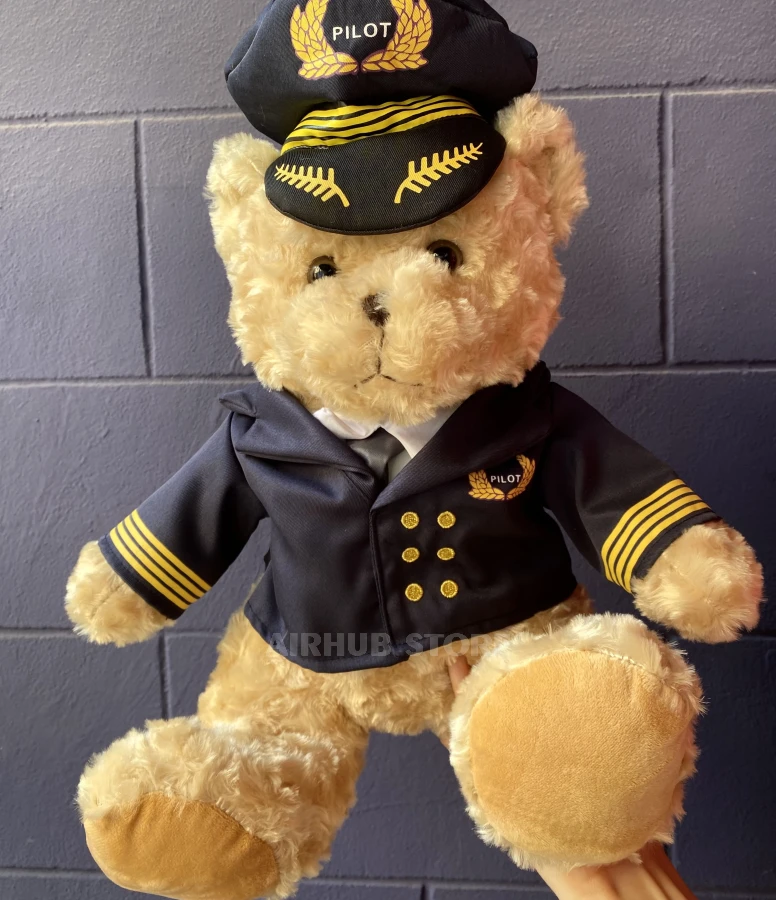 Bear Pilot Toy