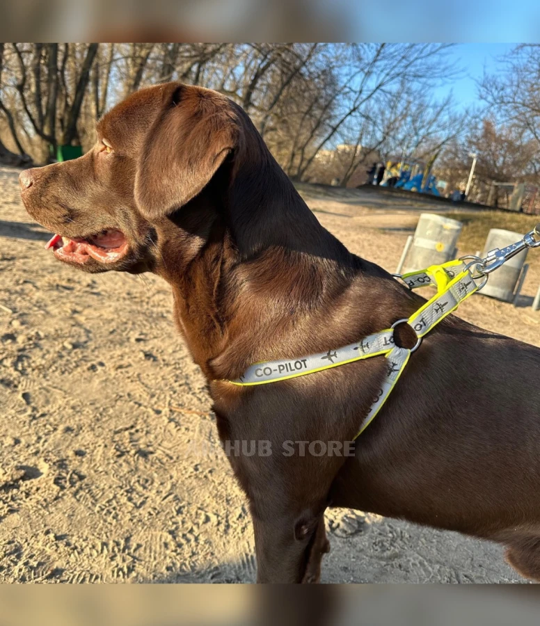 Dog Harness Co-Pilot
