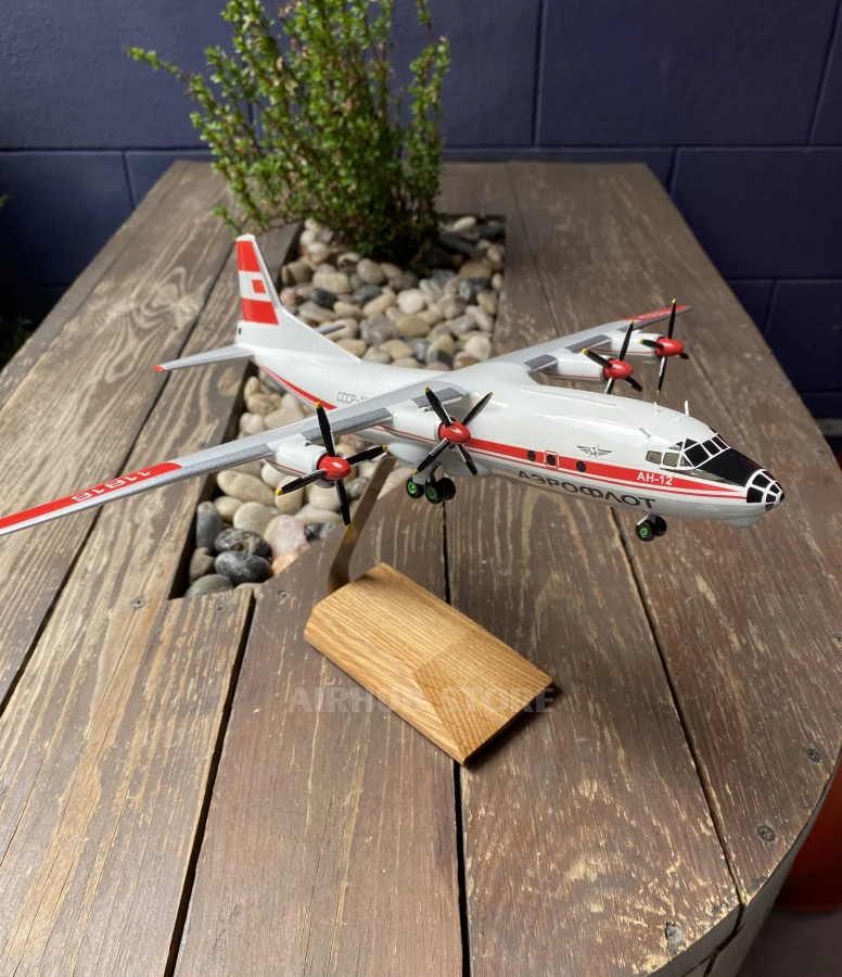 Custom Aircraft Antonov AN-12 1:100